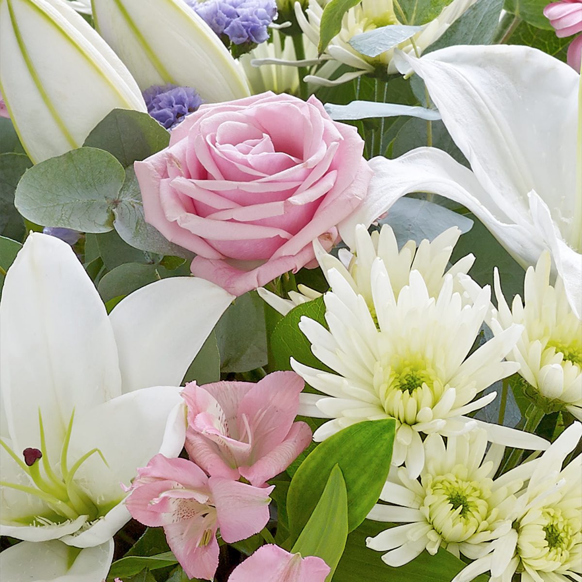 Newcastle Florists Flower Delivery & Online Shop The Blooming Garden