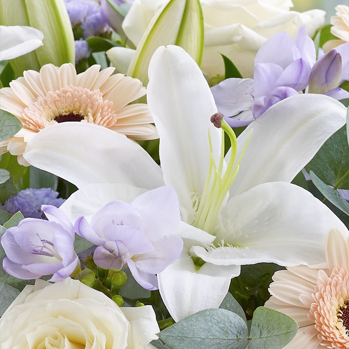 Newcastle Florists Flower Delivery & Online Shop The Blooming Garden